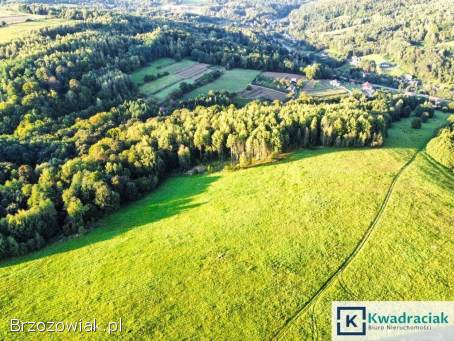 Działka w Lutczy idealna pod Inwestycję – 4,  48 ha z Warunkami Zabudowy