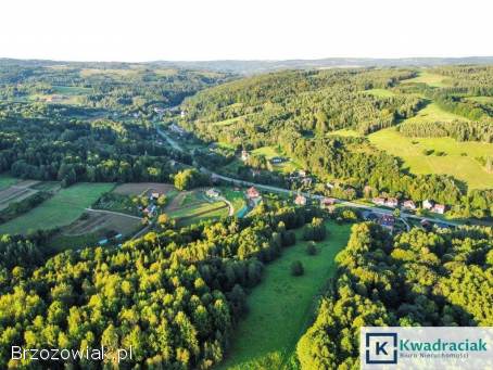 Działka w Lutczy idealna pod Inwestycję – 4,  48 ha z Warunkami Zabudowy