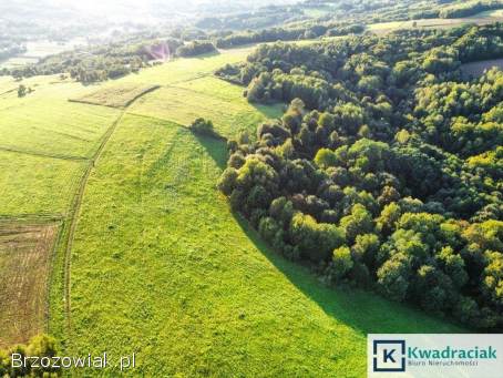 Działka w Lutczy idealna pod Inwestycję – 4,  48 ha z Warunkami Zabudowy