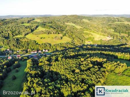 Działka w Lutczy idealna pod Inwestycję – 4,  48 ha z Warunkami Zabudowy