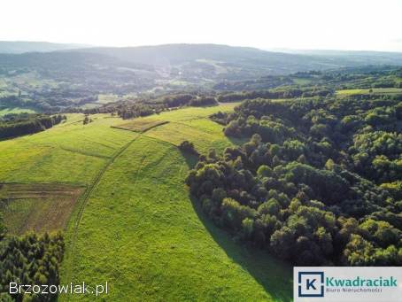 Działka w Lutczy idealna pod Inwestycję – 4,  48 ha z Warunkami Zabudowy