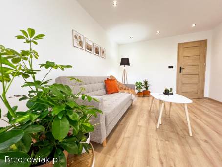 Mieszkanie po generalnym remoncie -  zamienię