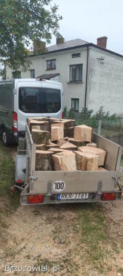 Wycinka,  redukcja,  pielęgnacja drzew i twojego ogrodu