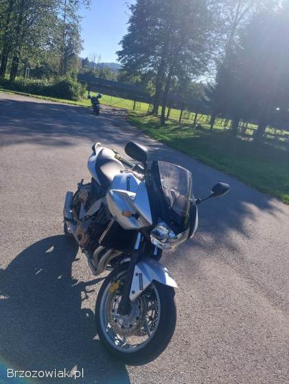 Kawasaki Z 750s 2006