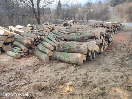 Drzewo opałowe jesion/czeresnia