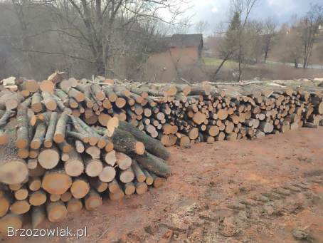 Drzewo opałowe jesion/czeresnia