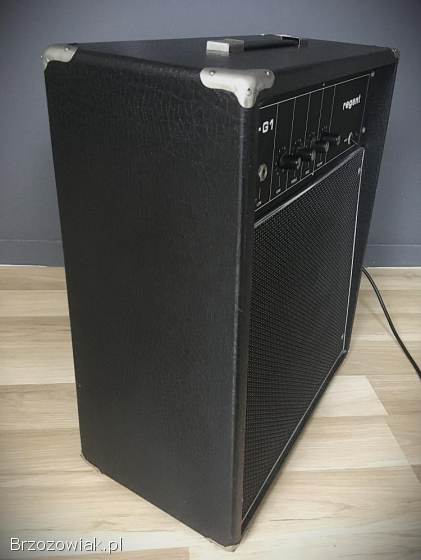 Wzmacniacz kolumna combo piecyk gitarowy REGENT 25-G1