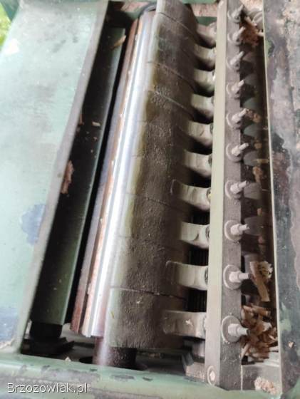 Grubościówka 50cm SICAR (włoska)