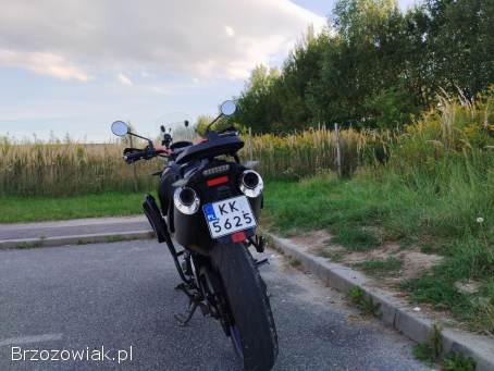 Aprilia Pegaso Strada 2005