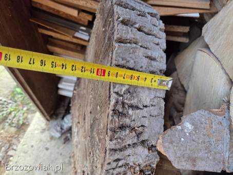 Sprzedam talarki z orzecha