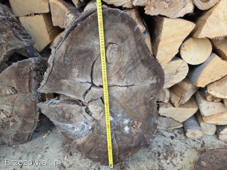 Sprzedam talarki z orzecha