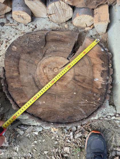 Sprzedam talarki z orzecha