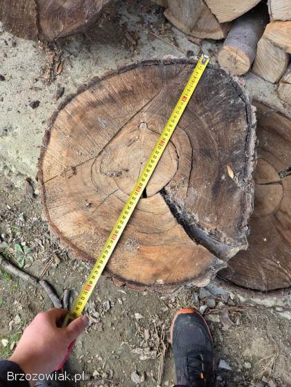 Sprzedam talarki z orzecha