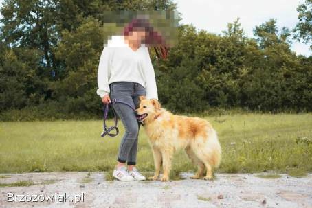 Atan – spokojny i uroczy towarzysz szuka domu