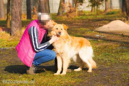 Atan – spokojny i uroczy towarzysz szuka domu