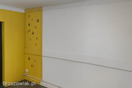 Wynajmę lokal uslugowo-handlowy krosno