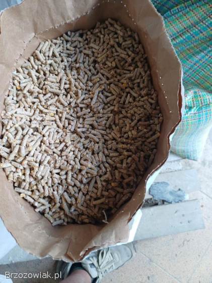 Pasza dla kur niosek