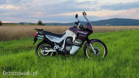 Honda Transalp XL 600  1992