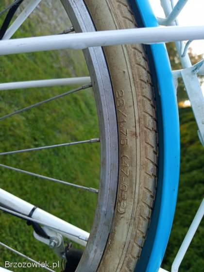 Rower miejski z koszykiem