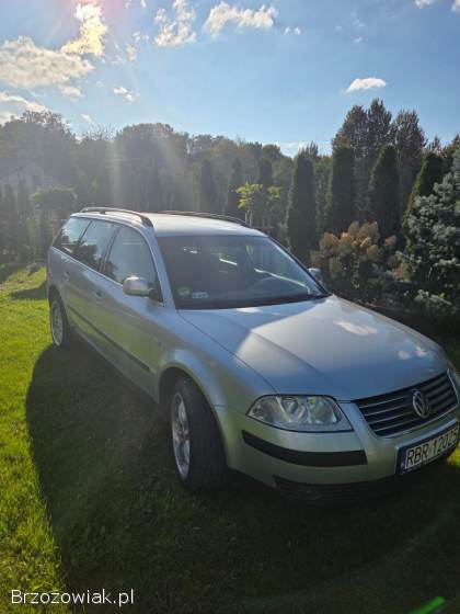 Volkswagen Passat B5 2002
