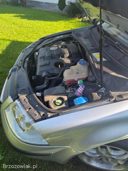 Volkswagen Passat B5 2002