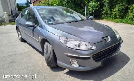 Peugeot 407 2004