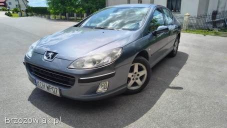 Peugeot 407 2004