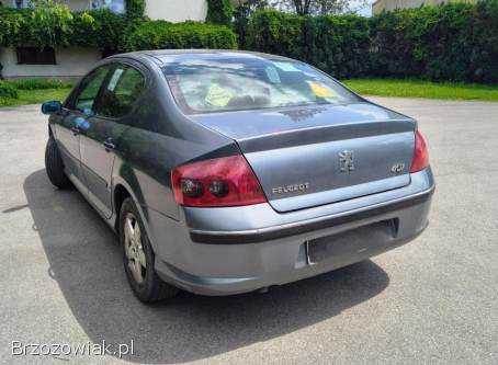 Peugeot 407 2004
