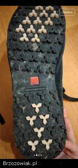 Sprzedam buty The North Face