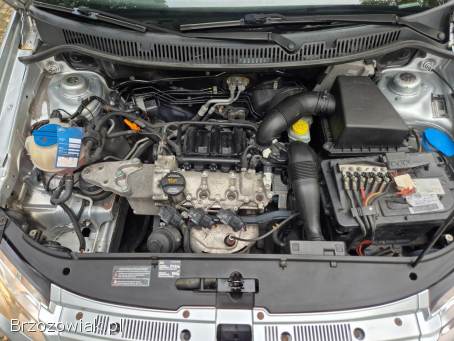 Volkswagen Polo 1.  2 16V Benzyna 2005