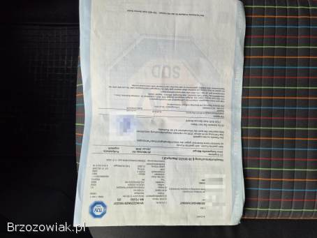 Volkswagen Polo 1.  2 16V Benzyna 2005