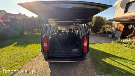 Peugeot Partner Tepee 2011