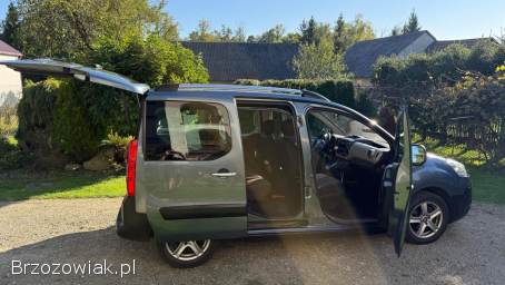 Peugeot Partner Tepee 2011