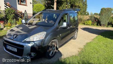 Peugeot Partner Tepee 2011