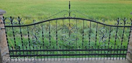 Przęsła ogrodzeniowe kute / ocynk