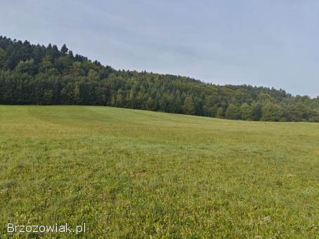 Działka budowlana rekreacyjna w Bieszczadach