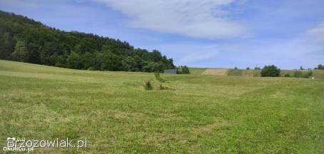 Działka budowlana rekreacyjna w Bieszczadach