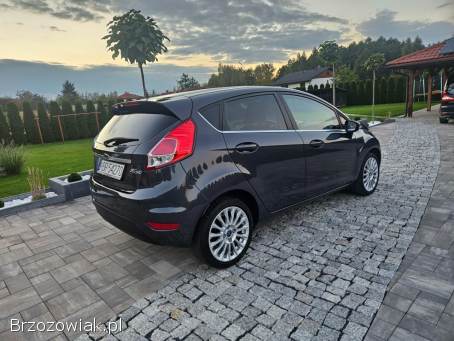 Ford Fiesta 2013
