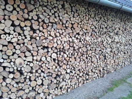 Drzewo opałowe suche