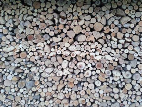 Drzewo opałowe suche