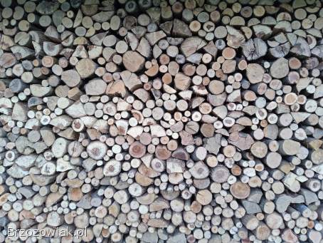 Drzewo opałowe suche