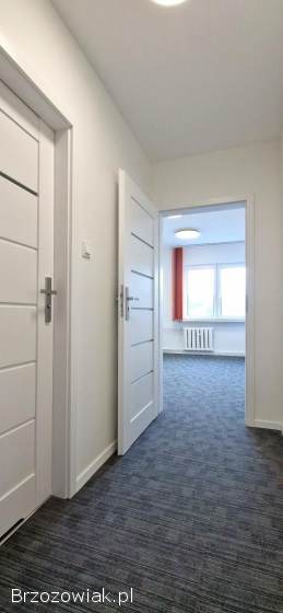 Lokal biurowo-usługowy 18 m2,  Mickiewicza,  Sanok